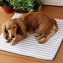 ペット用クールマット＆ブラシセット