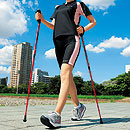 ノルディックポール