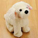 さかだちラッキー