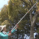 NEW高枝切りばさみ4点セット