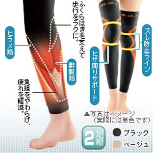 ���쎮�q�����L�T�|�[�^�[2���g