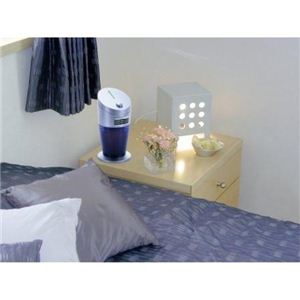 �R���p�N�g�C���������� �₷�炬���