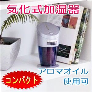 �R���p�N�g�C���������� �₷�炬���